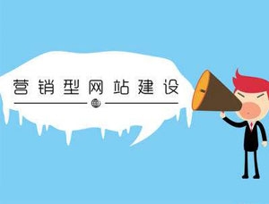 分析某些网络公司网站建设价格很低？