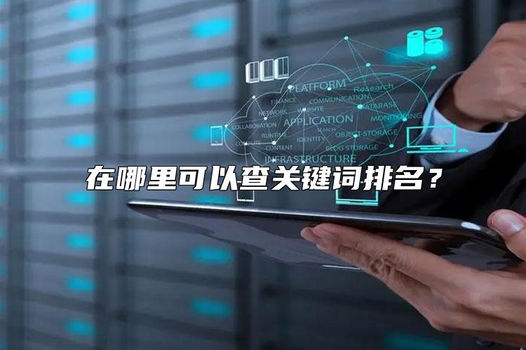 在哪里可以查关键词排名？