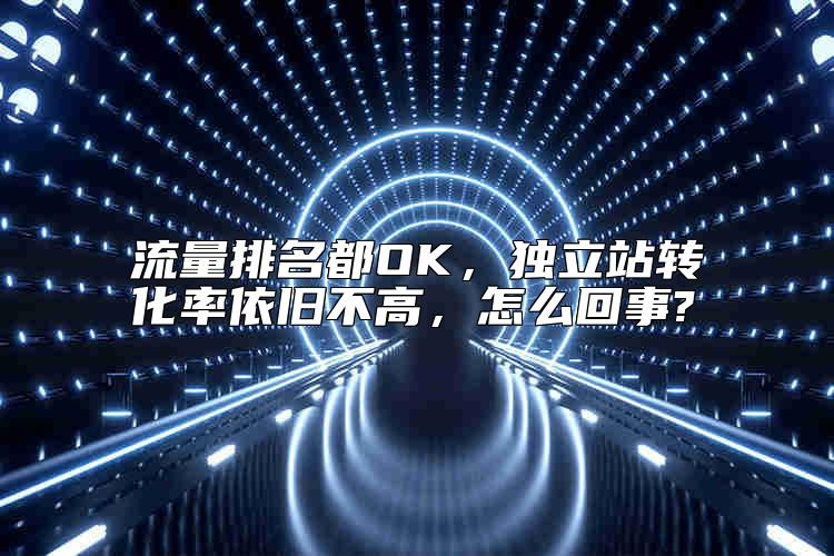 流量排名都OK，独立站转化率依旧不高，怎么回事?