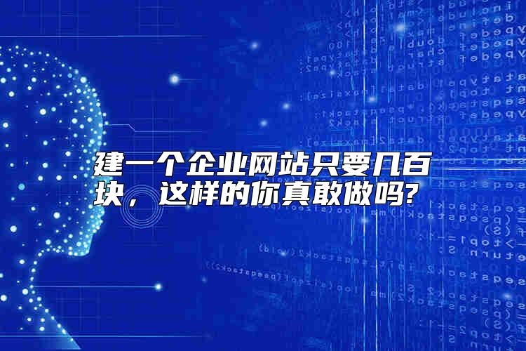 建一个企业网站只要几百块，这样的你真敢做吗?
