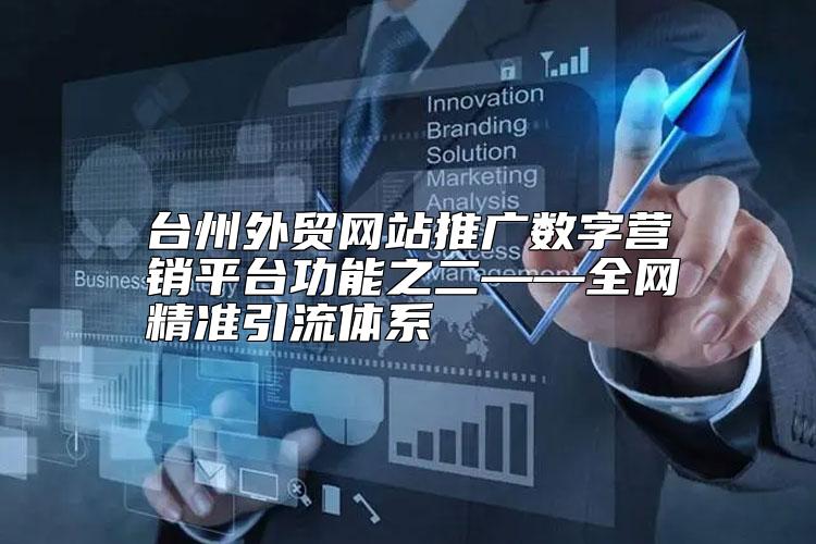 台州外贸网站推广数字营销平台功能之二——全网精准引流体系