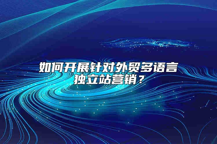 如何开展针对外贸多语言独立站营销？