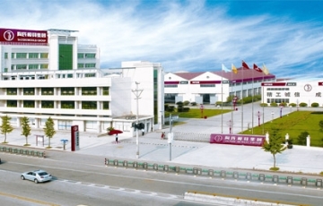 陶氏模具集团